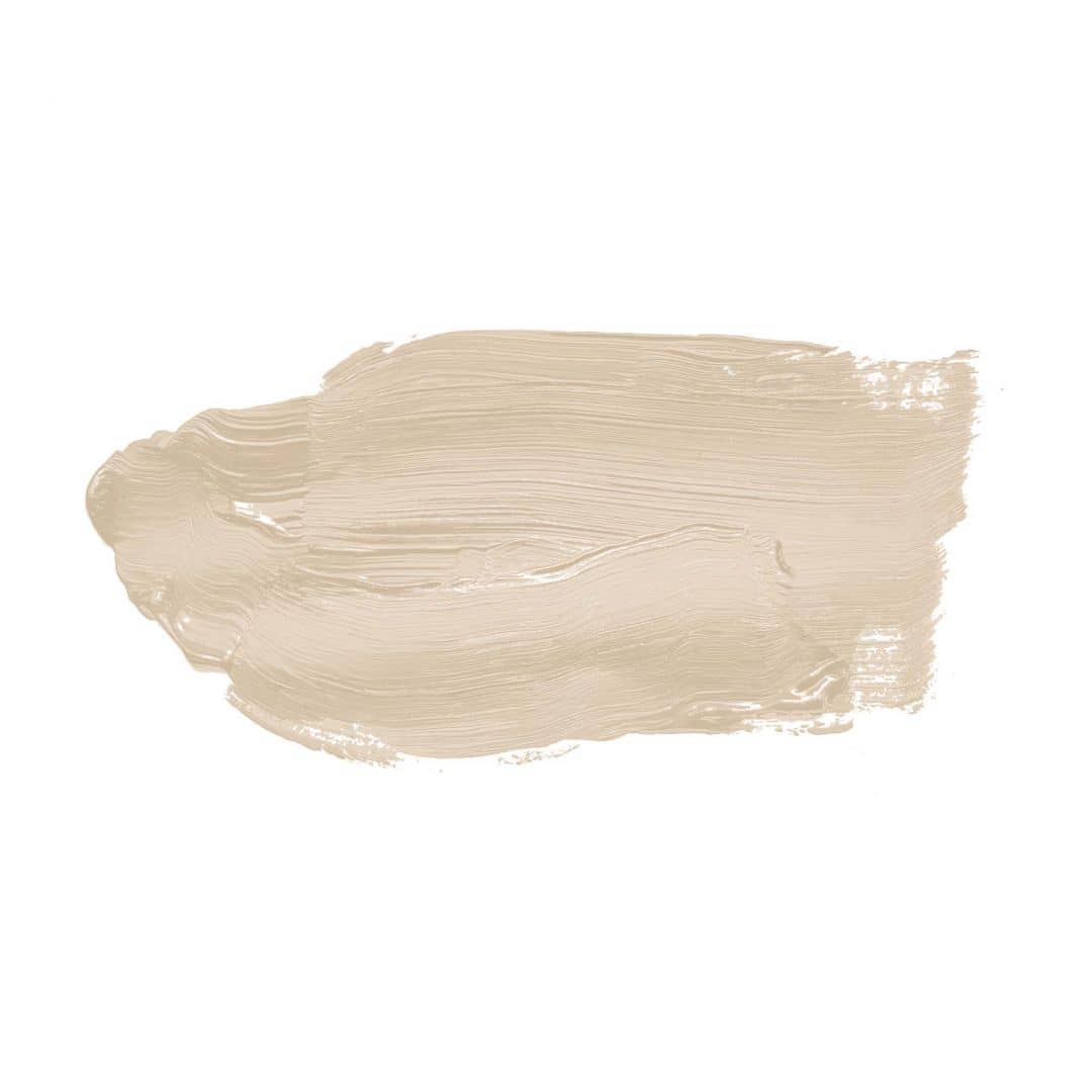 Kaeppel Beige Wandfarbe seidenmatt I Sweet Sesame | Raum öffnend und beruhigend | THE COLOR KITCHEN Outlet