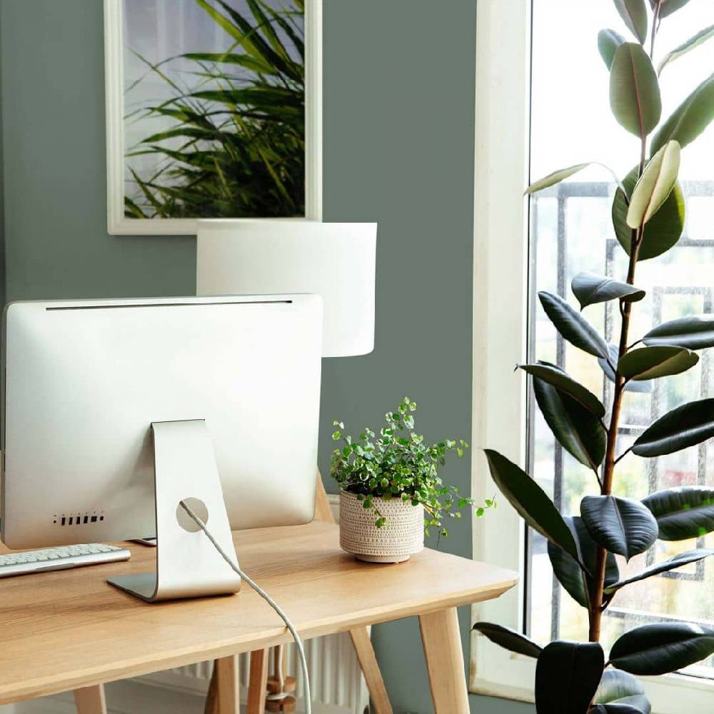 Kaeppel Grün Wandfarbe seidenmatt I Ritzy Rosemary | Raumharmonie schaffend | THE COLOR KITCHEN im Angebot