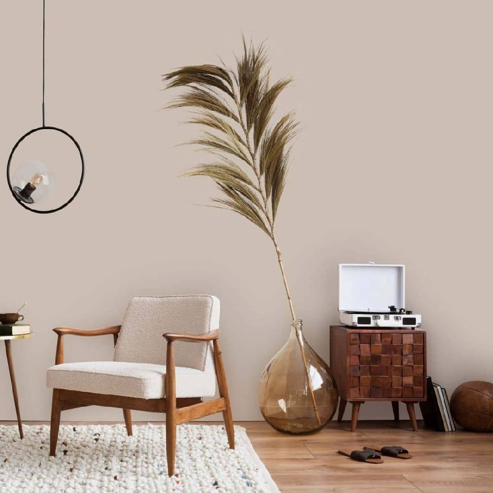 Kaeppel Beige Wandfarbe seidenmatt I Seedy Sunflower | Raum öffnend und beruhigend | THE COLOR KITCHEN Limitierter Zeitrabatt