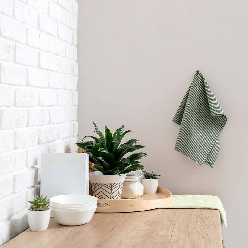 Kaeppel Rosa Wandfarbe seidenmatt I Cotton Candy | beruhigende und einladende Atmosphäre | THE COLOR KITCHEN Sonderangebot