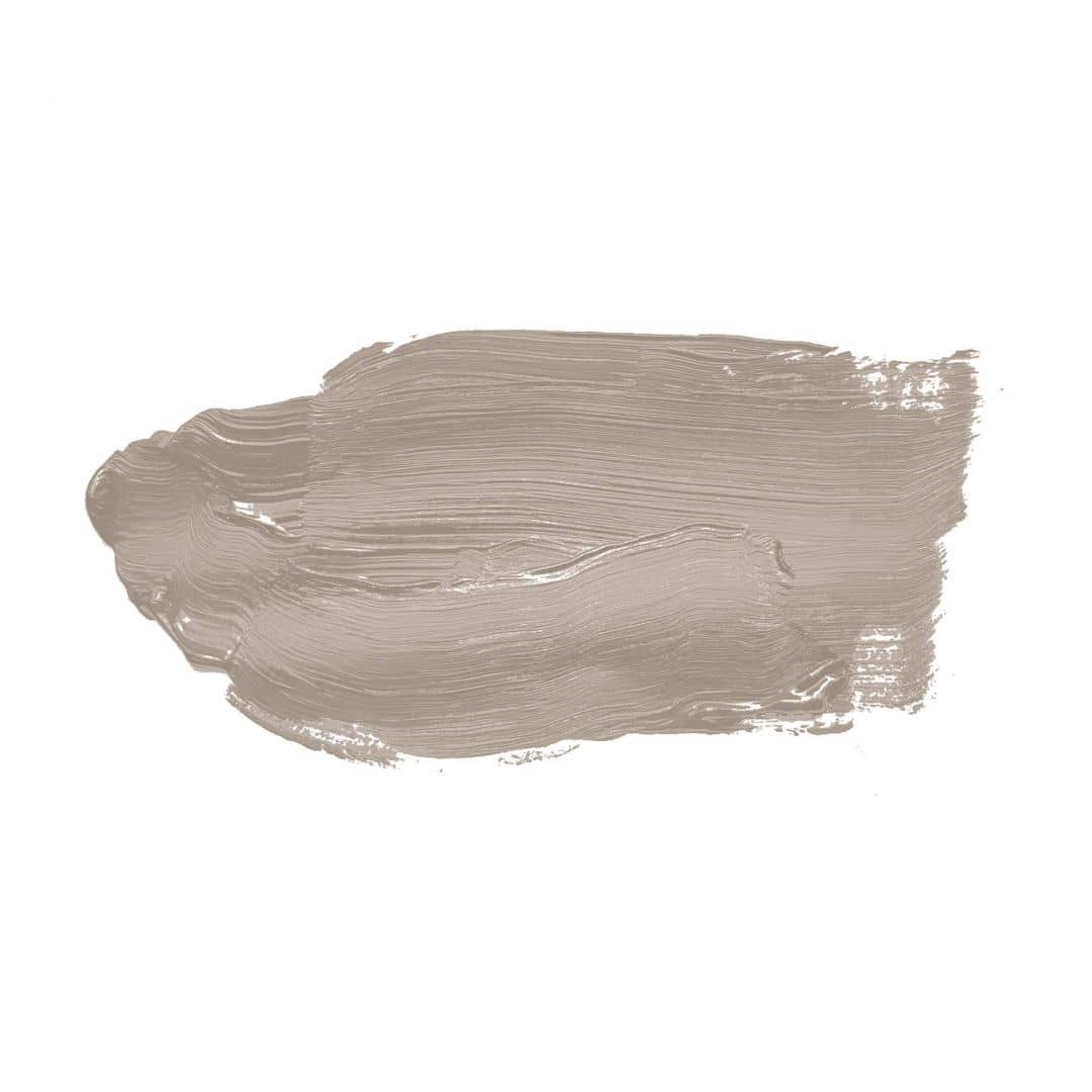 Kaeppel Taupe Wandfarbe seidenmatt I Whole Grain | Atmosphäre zurückhaltender Eleganz schaffend | THE COLOR KITCHEN Günstig kaufen