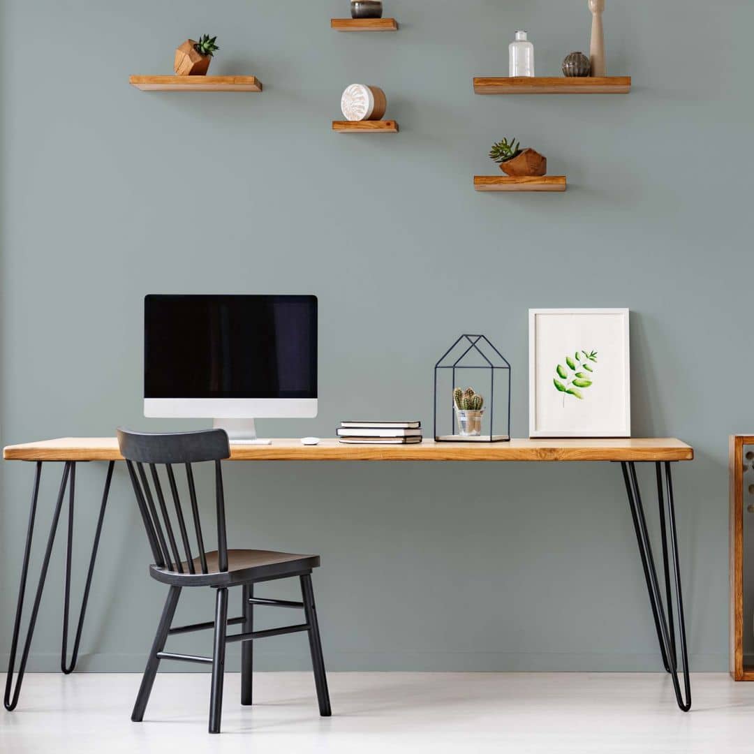 Kaeppel Grün Wandfarbe seidenmatt I Unique Eucalyptus | Raumharmonie schaffend | THE COLOR KITCHEN Online Shopping