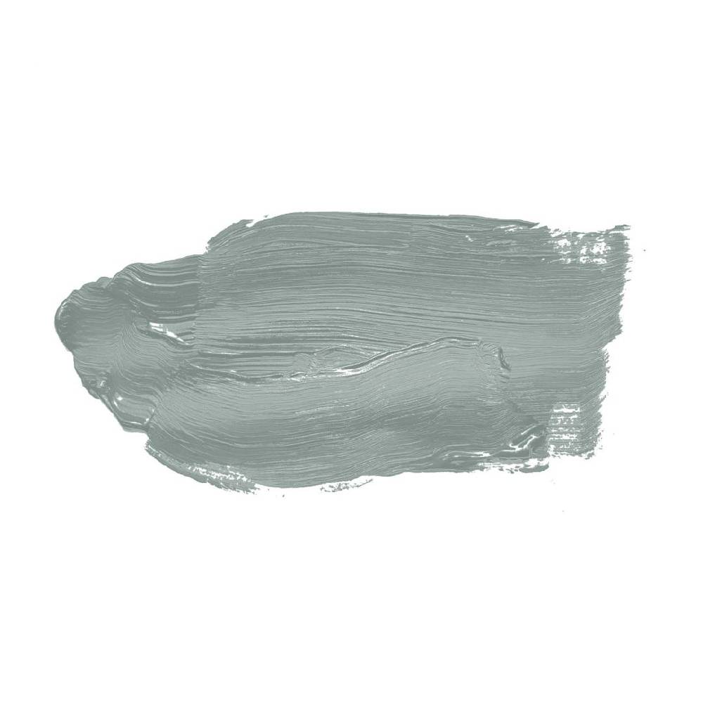 Kaeppel Grün Wandfarbe seidenmatt I Unique Eucalyptus | Raumharmonie schaffend | THE COLOR KITCHEN Online Shopping