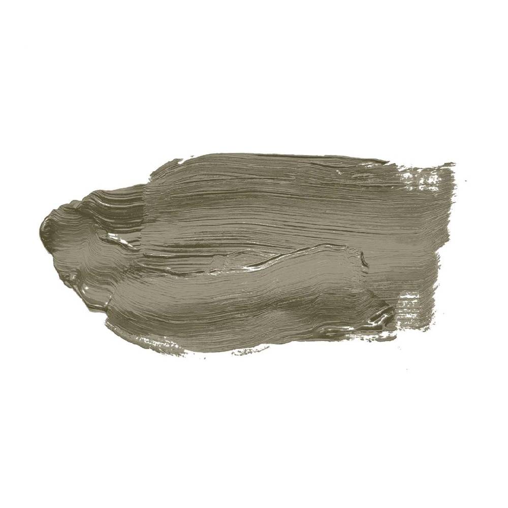 Kaeppel Khaki Grün Wandfarbe seidenmatt I Ordinary Olive | Raumharmonie schaffend | THE COLOR KITCHEN Preisnachlass
