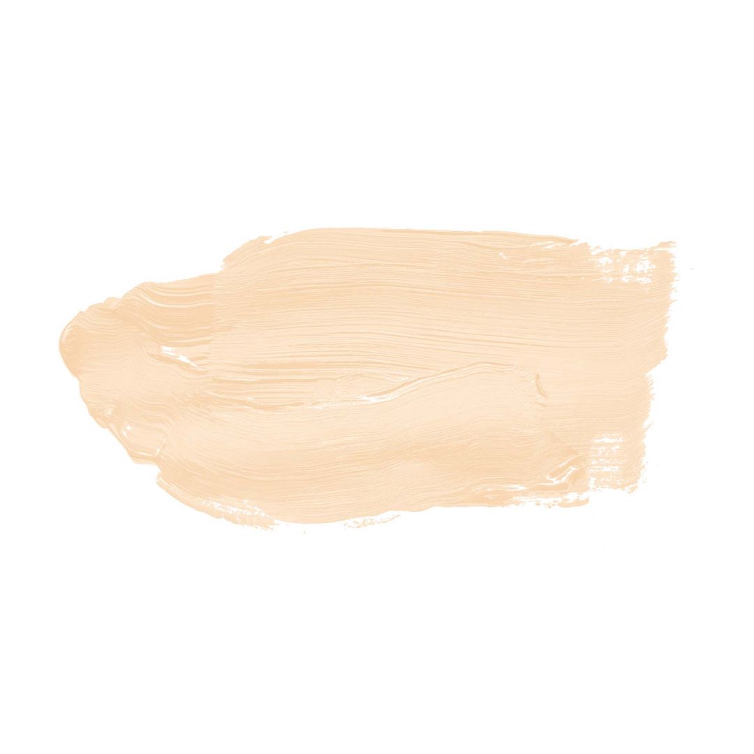 Kaeppel Beige Wandfarbe seidenmatt I Piña Colada | Raum öffnend und beruhigend | THE COLOR KITCHEN Jubiläumsangebot