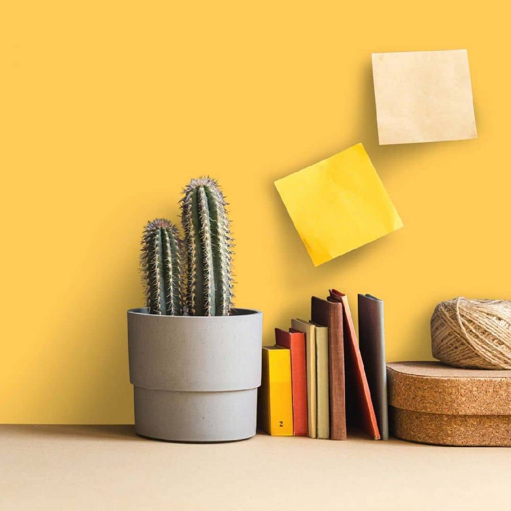 Kaeppel Gelb Wandfarbe seidenmatt I Mighty Mango | belebende Wirkung | THE COLOR KITCHEN Top Angebot