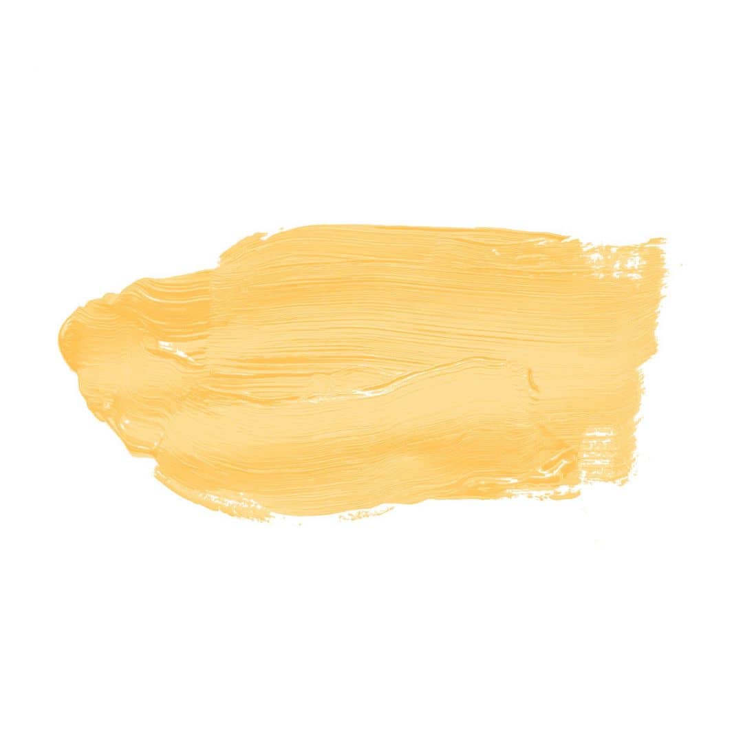 Kaeppel Gelb Wandfarbe seidenmatt I Mighty Mango | belebende Wirkung | THE COLOR KITCHEN Top Angebot