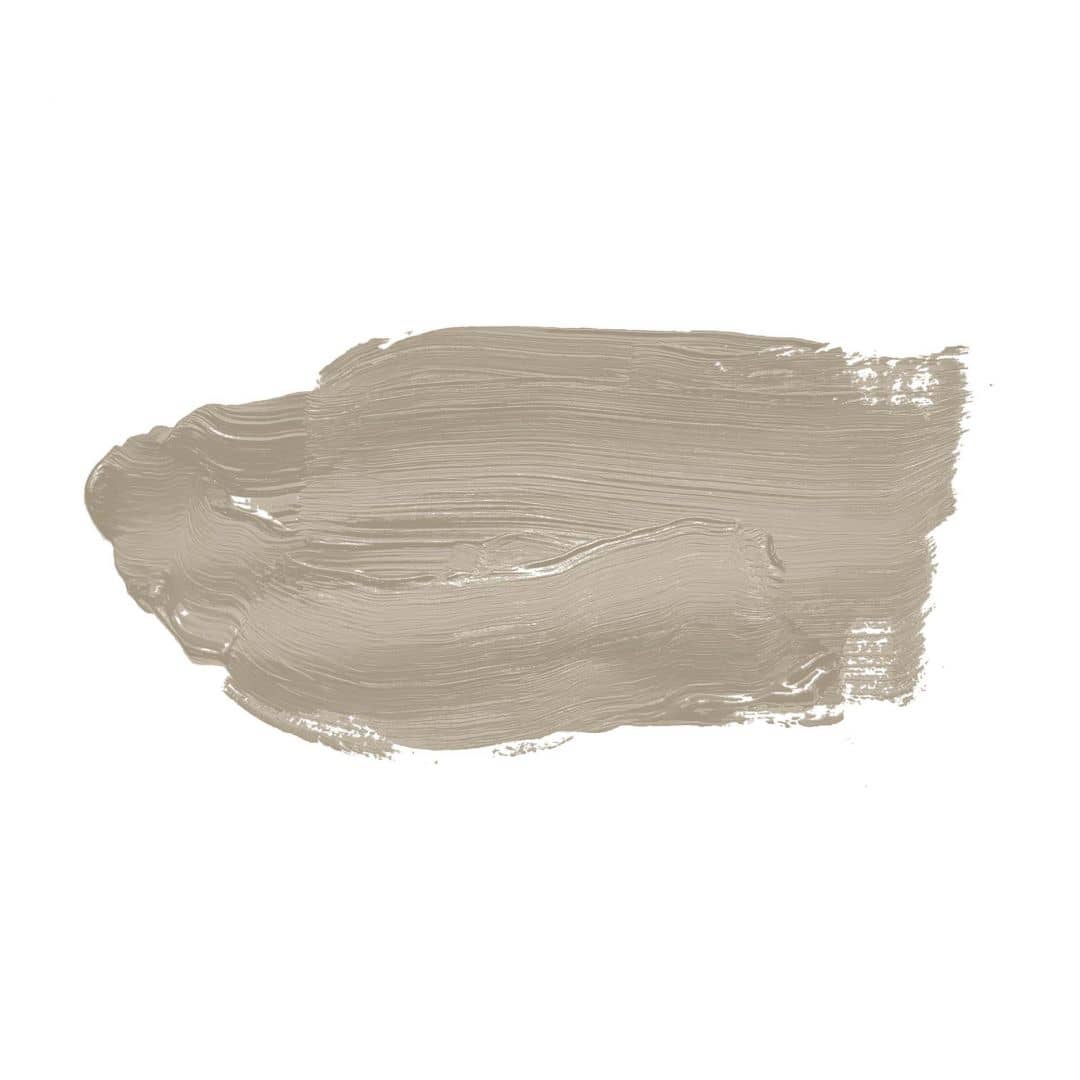 Kaeppel Taupe Wandfarbe seidenmatt I Pumpkin Seed | Atmosphäre zurückhaltender Eleganz schaffend | THE COLOR KITCHEN Kauf eins, bekomm eins gratis