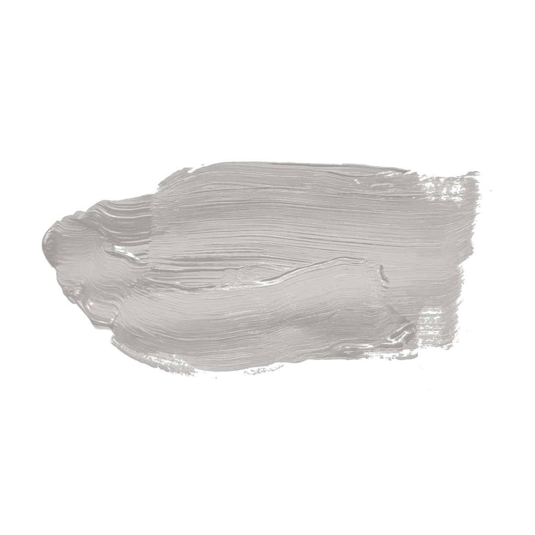 Kaeppel Grau Wandfarbe seidenmatt I Sprat Fish | elegante, moderne Atmosphäre schaffend | THE COLOR KITCHEN Tägliche Deals