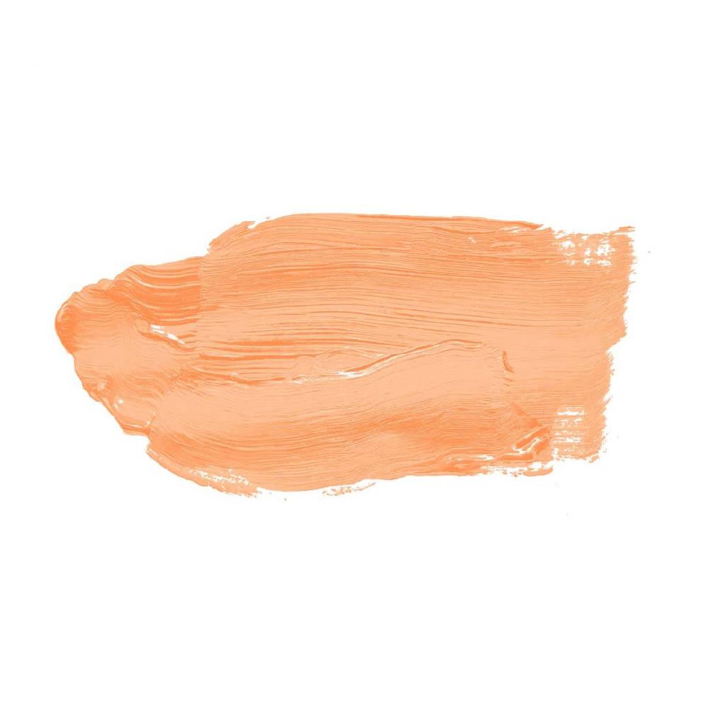Kaeppel Orange Wandfarbe seidenmatt I Pure Papaya | energiegeladen begeisternd | THE COLOR KITCHEN VIP-Rabatte