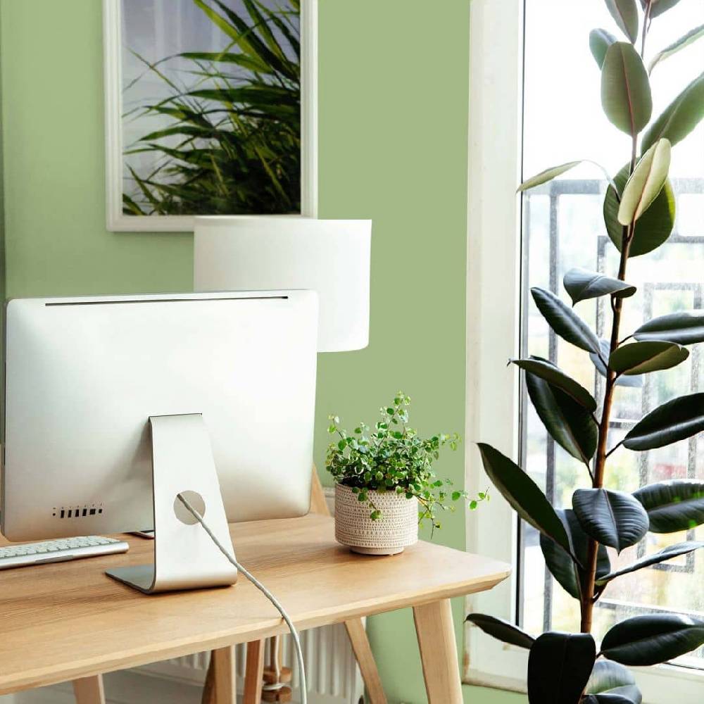 Kaeppel Grün Wandfarbe seidenmatt I Green Grape | Raumharmonie schaffend | THE COLOR KITCHEN Kostenlose Rückgabe