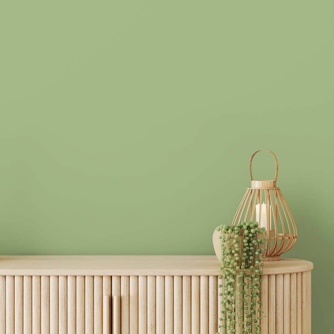 Kaeppel Grün Wandfarbe seidenmatt I Green Grape | Raumharmonie schaffend | THE COLOR KITCHEN Kostenlose Rückgabe