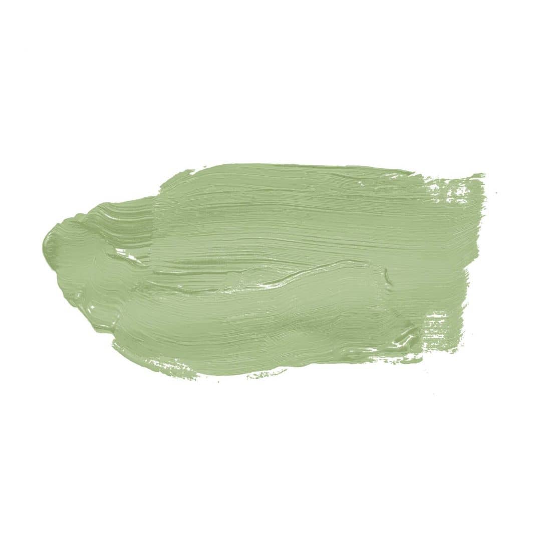 Kaeppel Grün Wandfarbe seidenmatt I Green Grape | Raumharmonie schaffend | THE COLOR KITCHEN Kostenlose Rückgabe