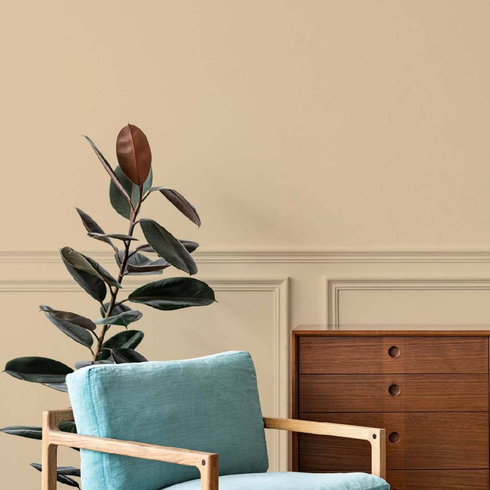 Kaeppel Beige Wandfarbe seidenmatt I Asthetic Artichoke | Raum öffnend und beruhigend | THE COLOR KITCHEN Sonderangebot der Fabrik