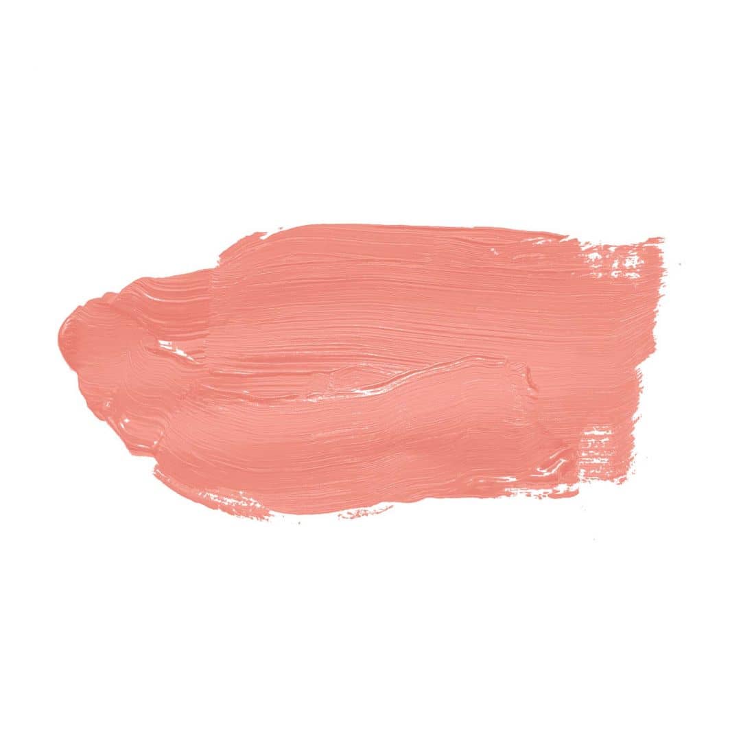Kaeppel Pink Wandfarbe seidenmatt I Georgeous Grapefruit | verspielt und fröhlicher Charakter | THE COLOR KITCHEN Riesige Rabatte