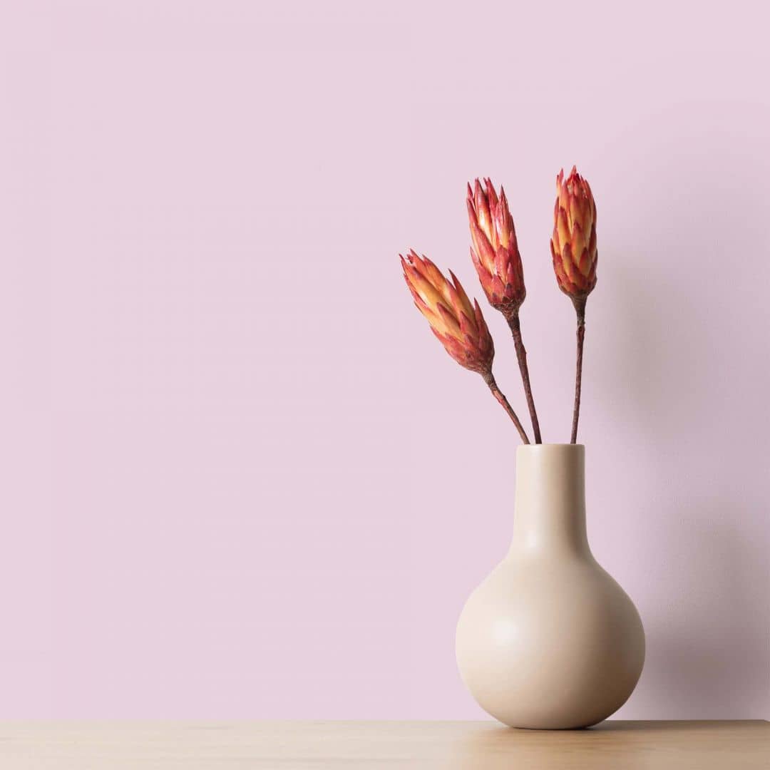 Kaeppel Pink Wandfarbe seidenmatt I Milky Strawberry | verspielt und fröhlicher Charakter | THE COLOR KITCHEN Clearance-Verkauf