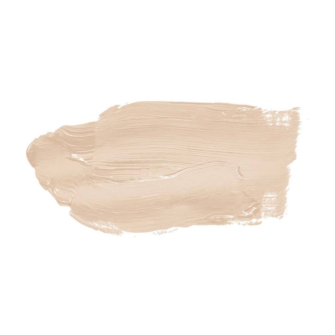 Kaeppel Beige Wandfarbe seidenmatt I Pure Pampas | Raum öffnend und beruhigend | THE COLOR KITCHEN Kostenloser Versand international