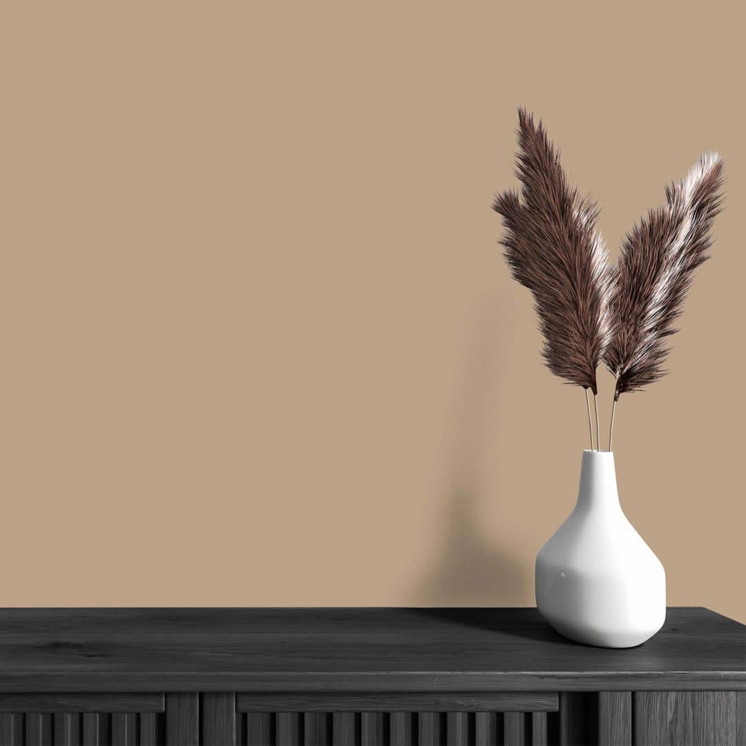 Kaeppel Braun Wandfarbe seidenmatt I Friendly Fennel | behagliche und ruhige Raumatmosphäre schaffend | THE COLOR KITCHEN Im Verkauf
