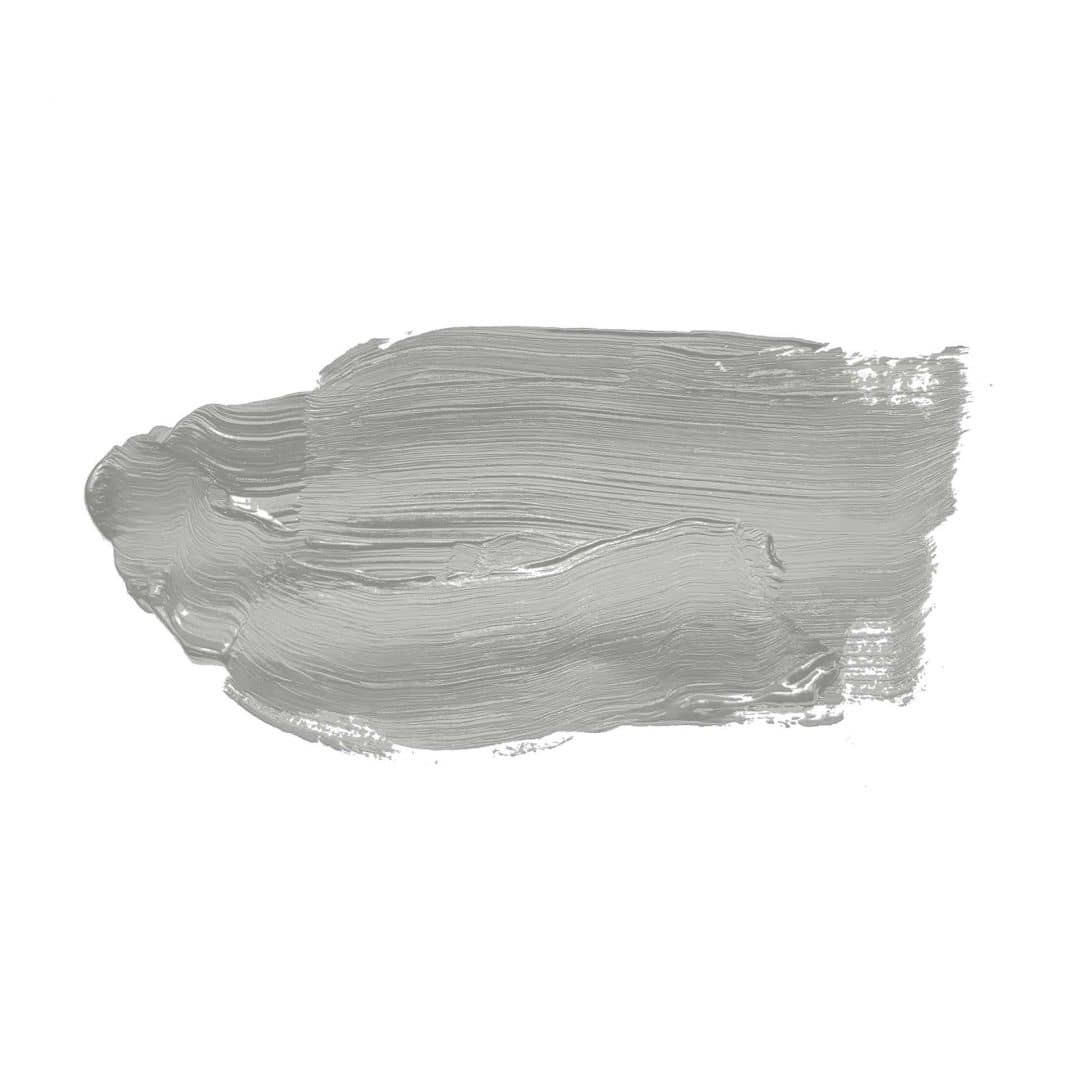 Kaeppel Grau Wandfarbe seidenmatt I Shady Spice | elegante, moderne Atmosphäre schaffend | THE COLOR KITCHEN 50% Rabatt für begrenzte Zeit