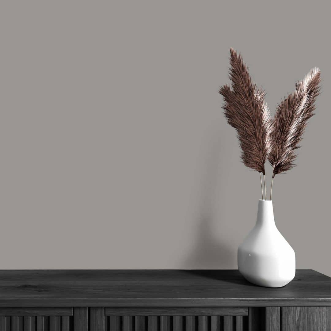 Kaeppel Grau Wandfarbe seidenmatt I Miraculous Mackerel | elegante, moderne Atmosphäre schaffend | THE COLOR KITCHEN Auslauf