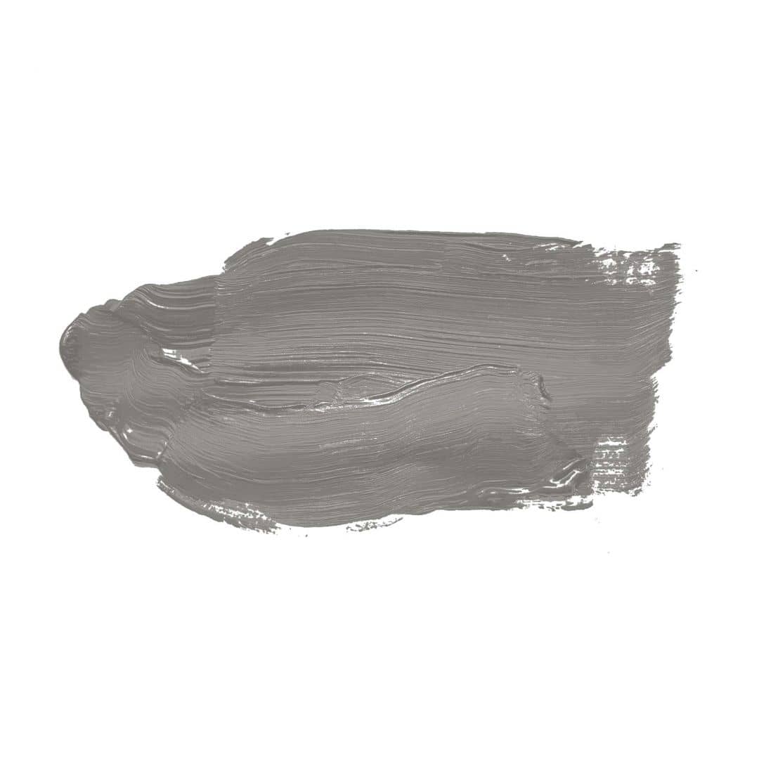 Kaeppel Grau Wandfarbe seidenmatt I Miraculous Mackerel | elegante, moderne Atmosphäre schaffend | THE COLOR KITCHEN Auslauf