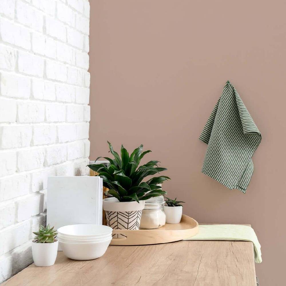 Kaeppel Braun Wandfarbe seidenmatt I Icy Chocolate | behagliche und ruhige Raumatmosphäre schaffend | THE COLOR KITCHEN Angebote