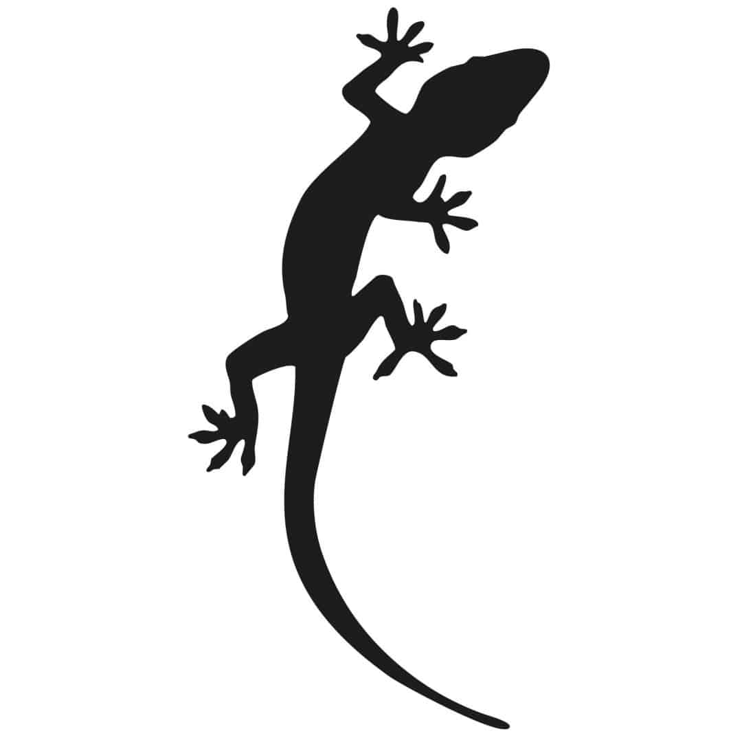 Kaeppel Wandtattoo Gecko 3 Preisnachlass