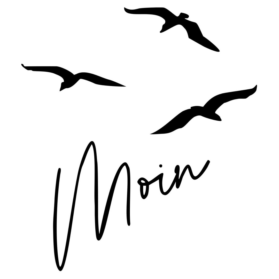 Kaeppel Spruch Wandtattoo Moin mit Möwen Neueste Mode