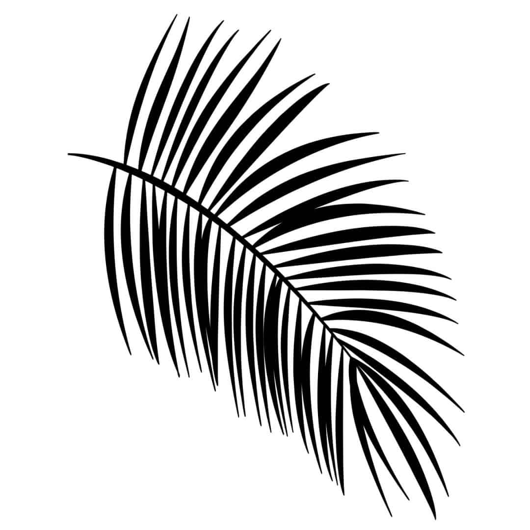Kaeppel Wandtattoo Palmenblatt 50% Rabatt mit kostenlosem Versand