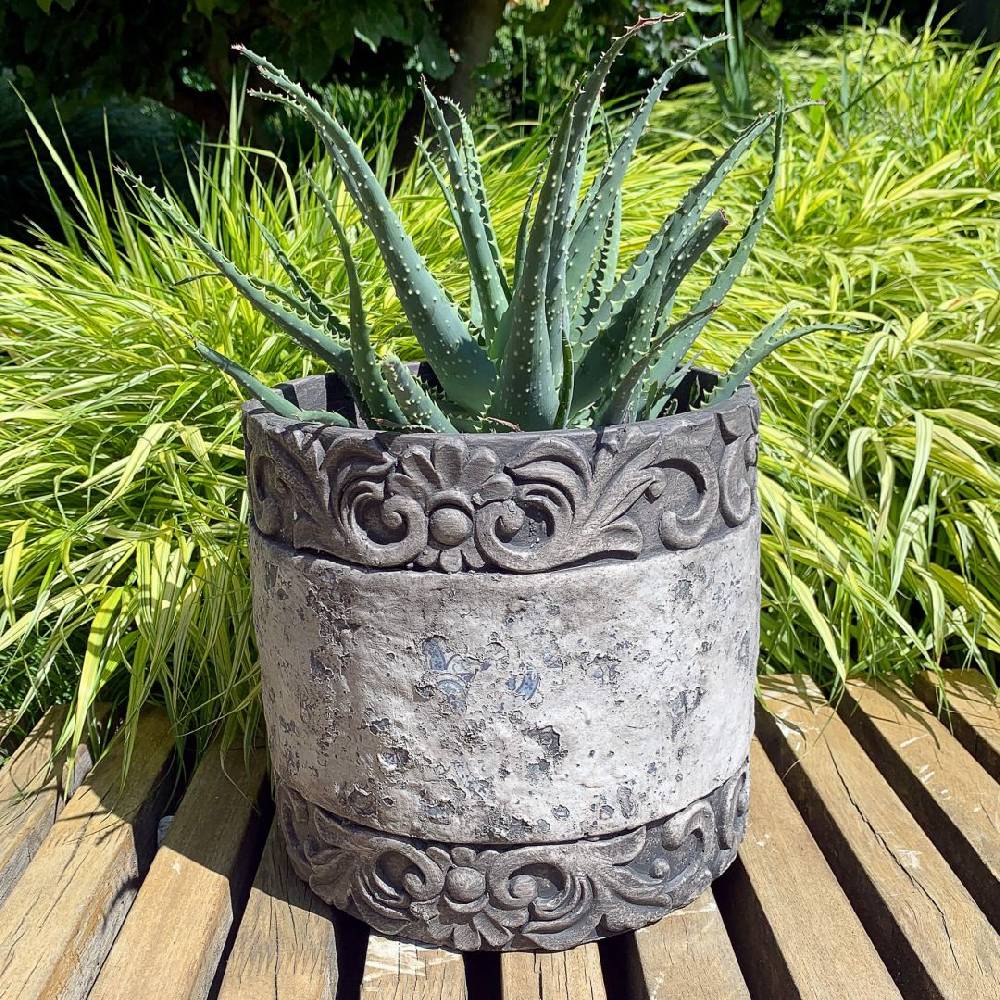 Kaeppel Vintage Damask Übertopf rustikal 50% Rabatt für begrenzte Zeit