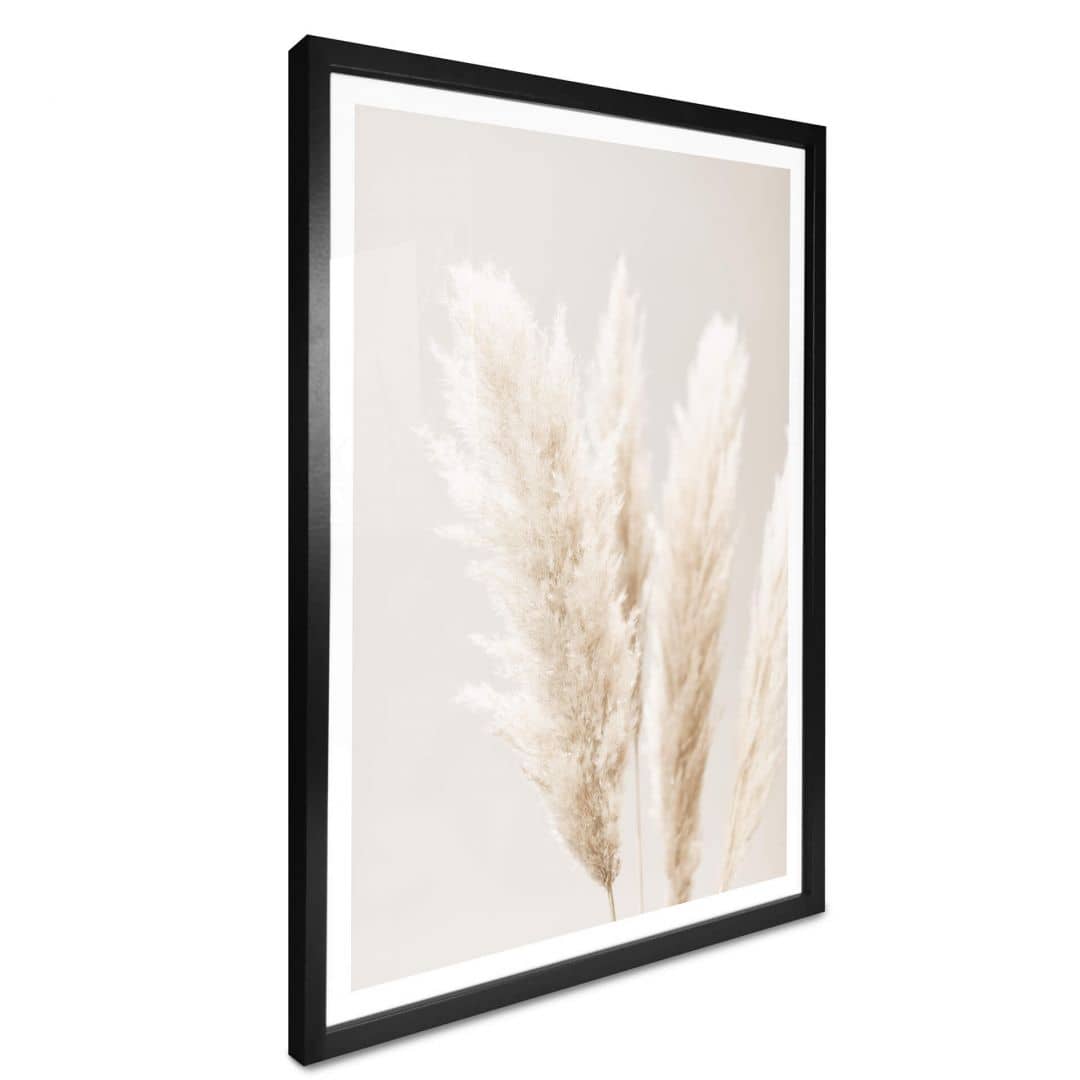 Kaeppel Poster 1X Studio - Pampasgras Saisonale Angebote