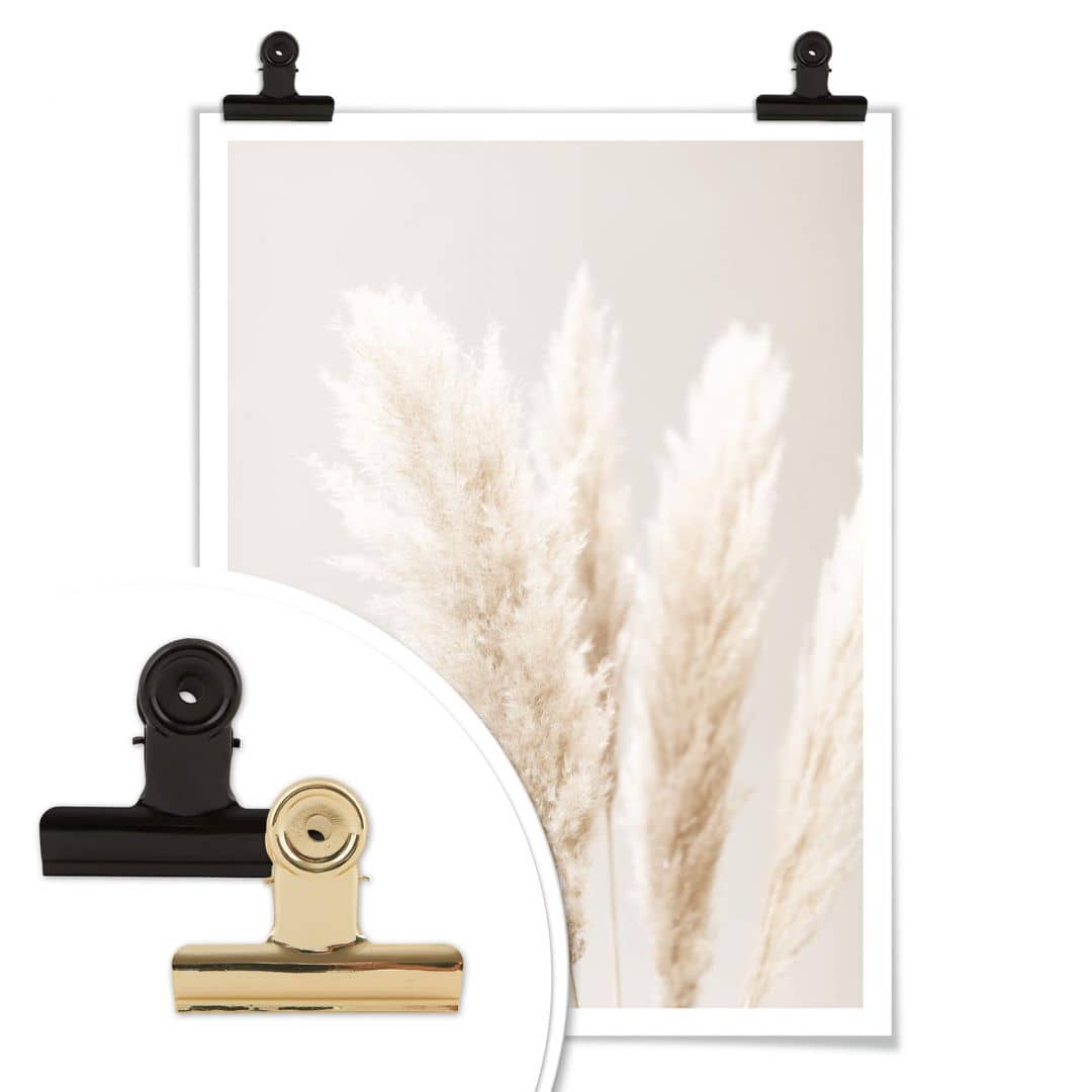Kaeppel Poster 1X Studio - Pampasgras Saisonale Angebote