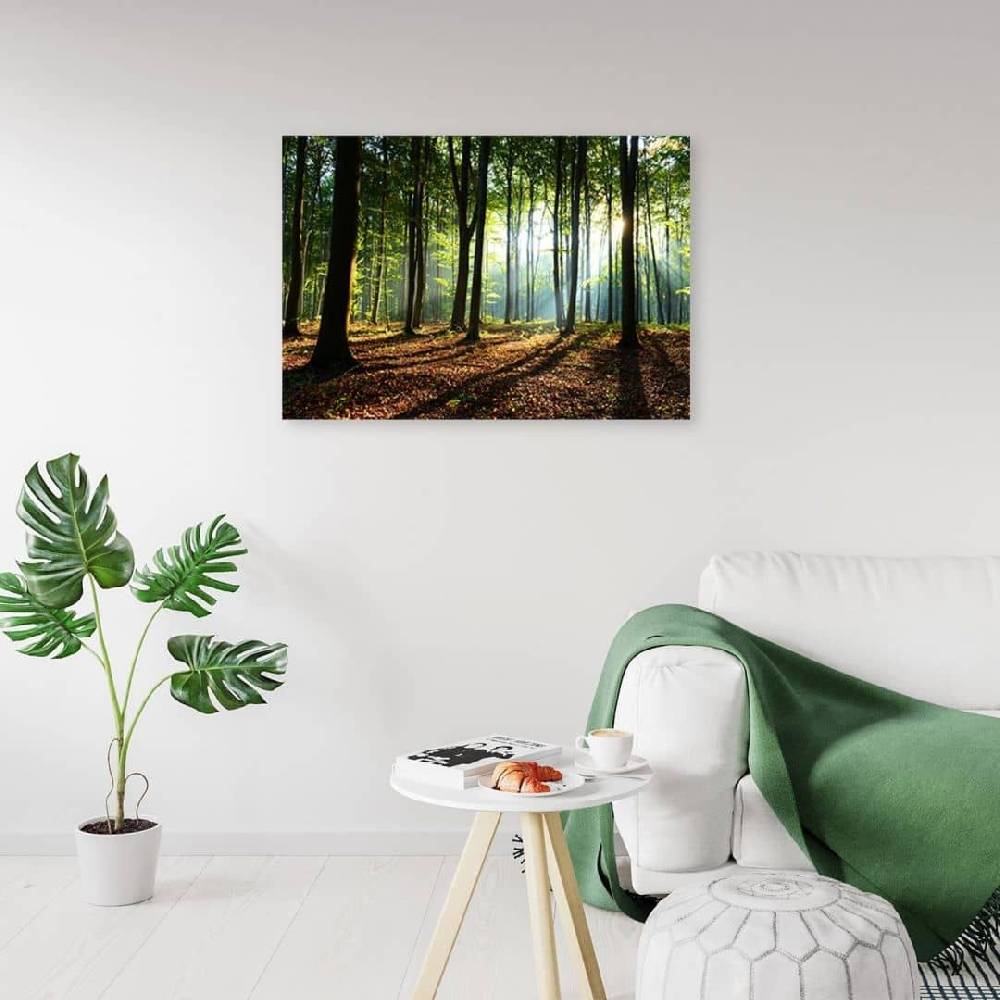 Kaeppel Leinwandbild, Wald bei Sonnenaufgang Tägliche Deals