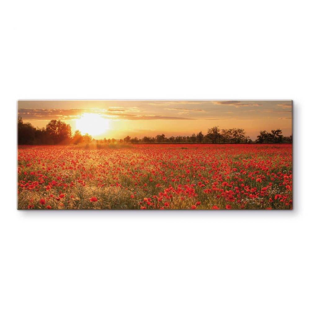 Kaeppel Spritzschutz Mohnfeld im Sonnenuntergang - Panorama Fabrikladen