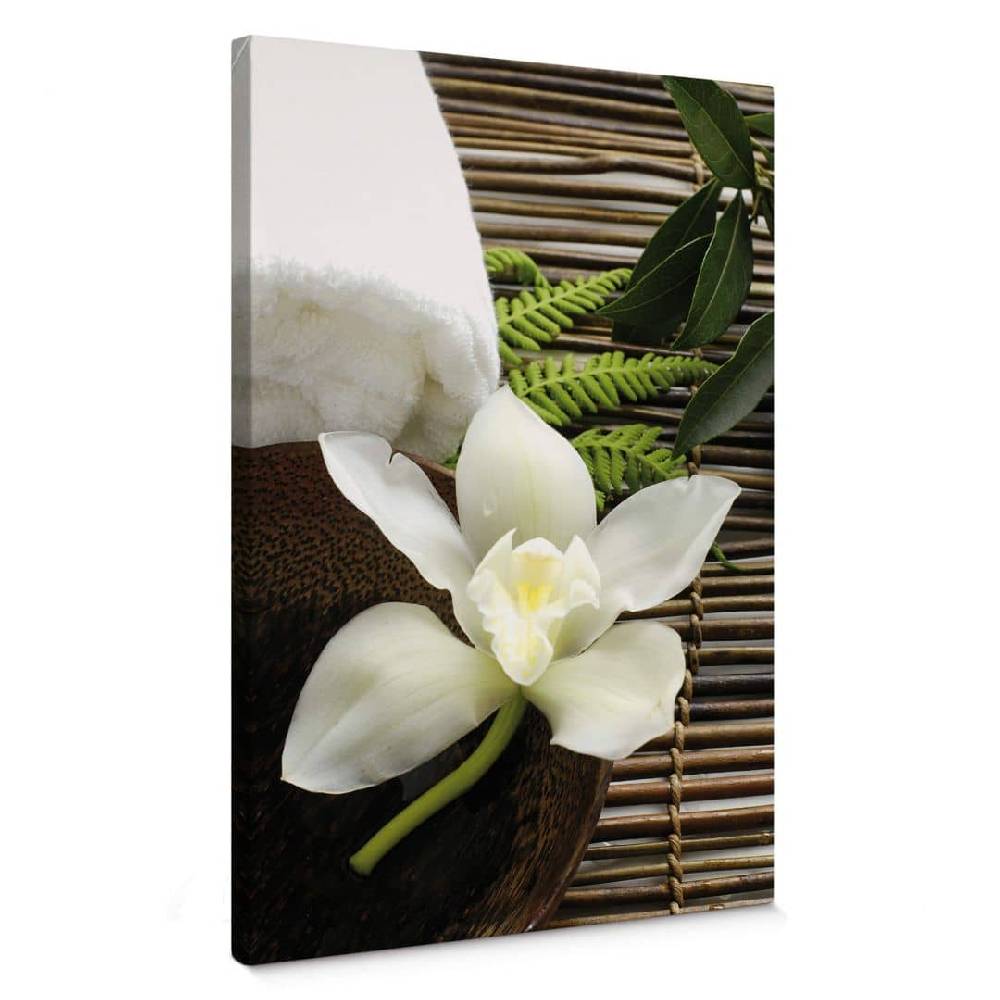 Kaeppel Leinwandbild Wellness Orchidee Sonderangebot