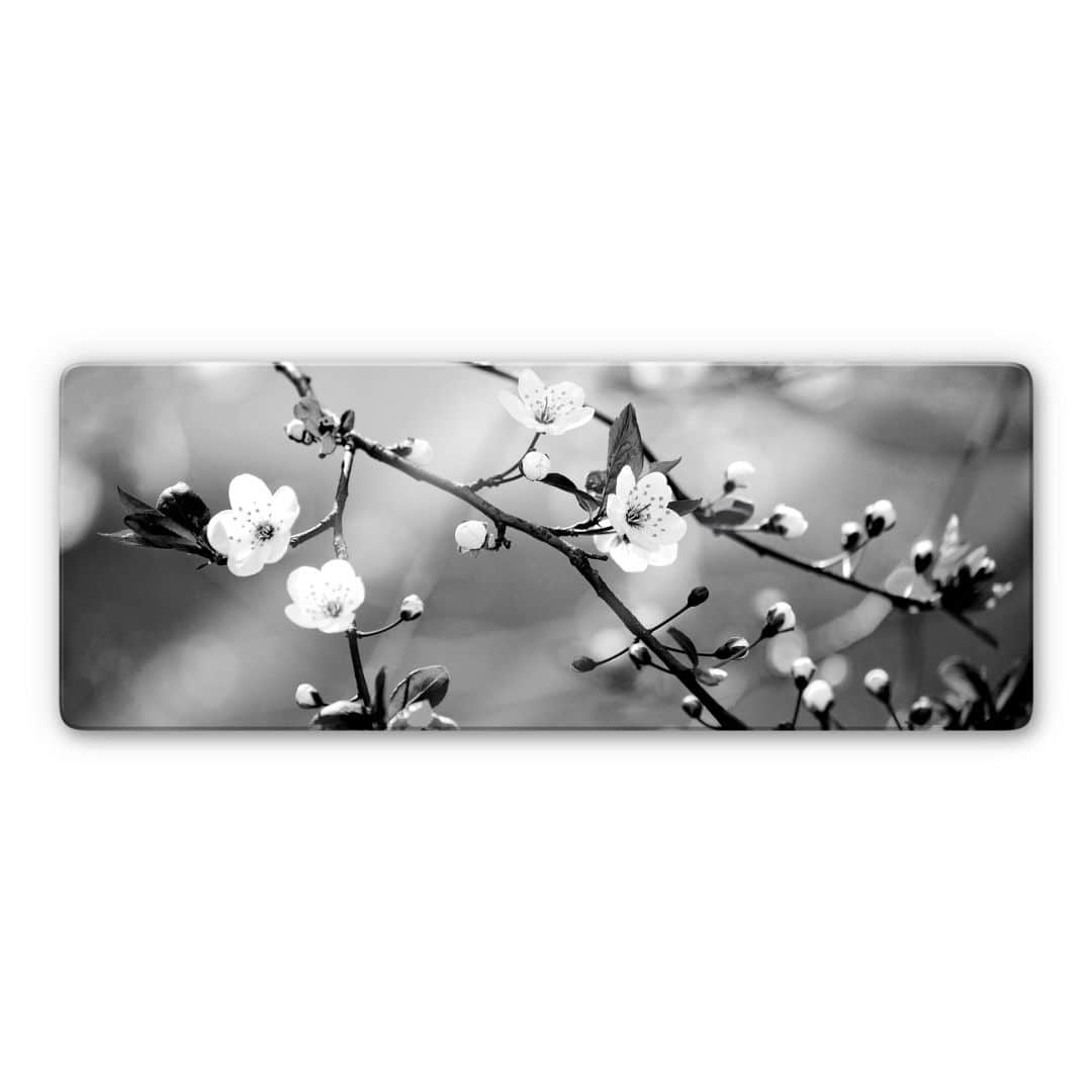 Kaeppel Glasbild Frühlingserwachen - Panorama Günstig kaufen
