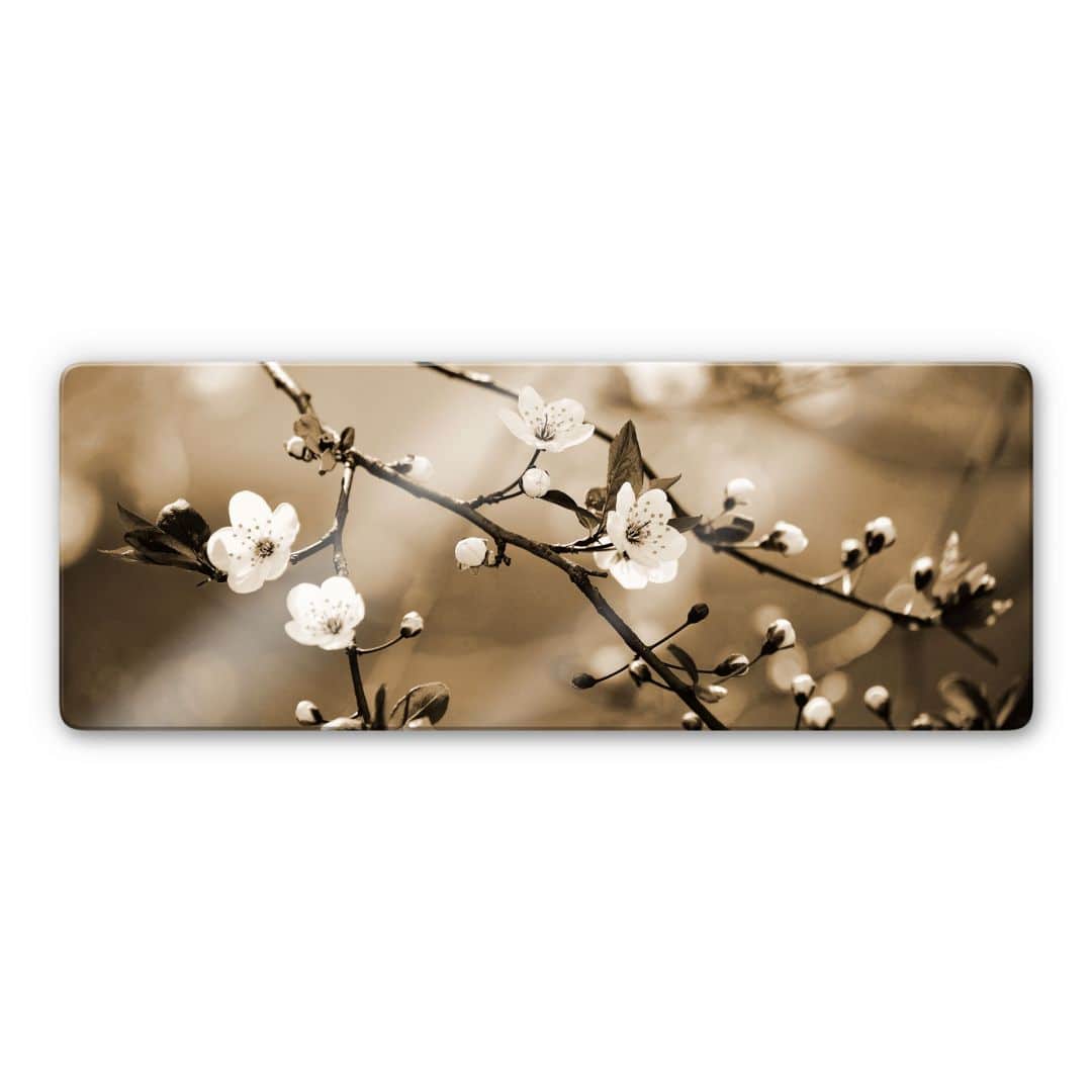 Kaeppel Glasbild Frühlingserwachen - Panorama Günstig kaufen