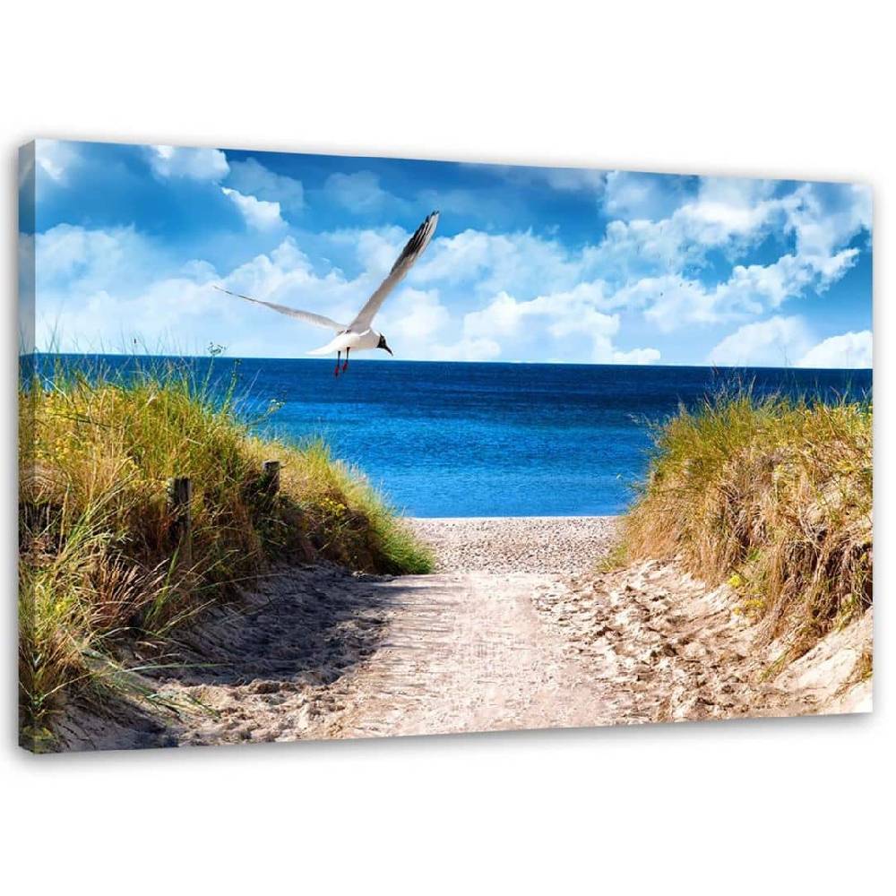 Kaeppel Leinwandbild, Weg zum Strand und eine Möwe