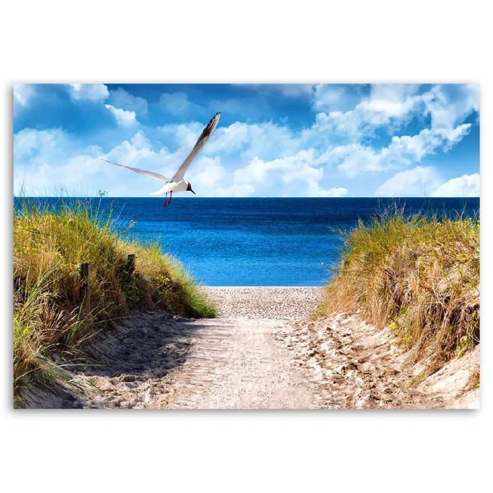 Kaeppel Leinwandbild, Weg zum Strand und eine Möwe Cyber Monday
