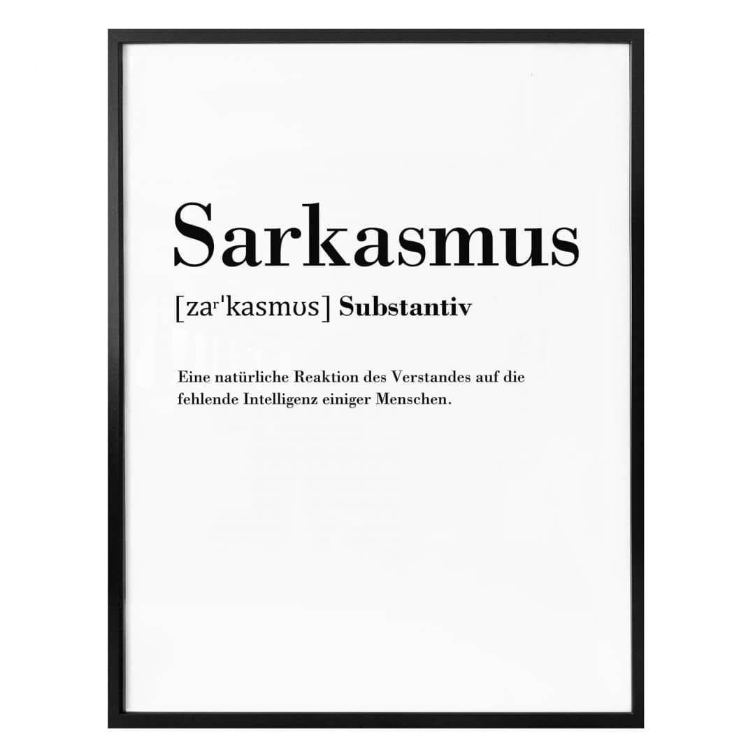 Kaeppel Poster Grammatik - Sarkasmus