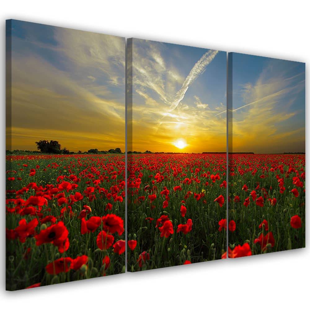 Kaeppel Leinwandbild 3-teilig, Mohnfeld im Sonnenuntergang