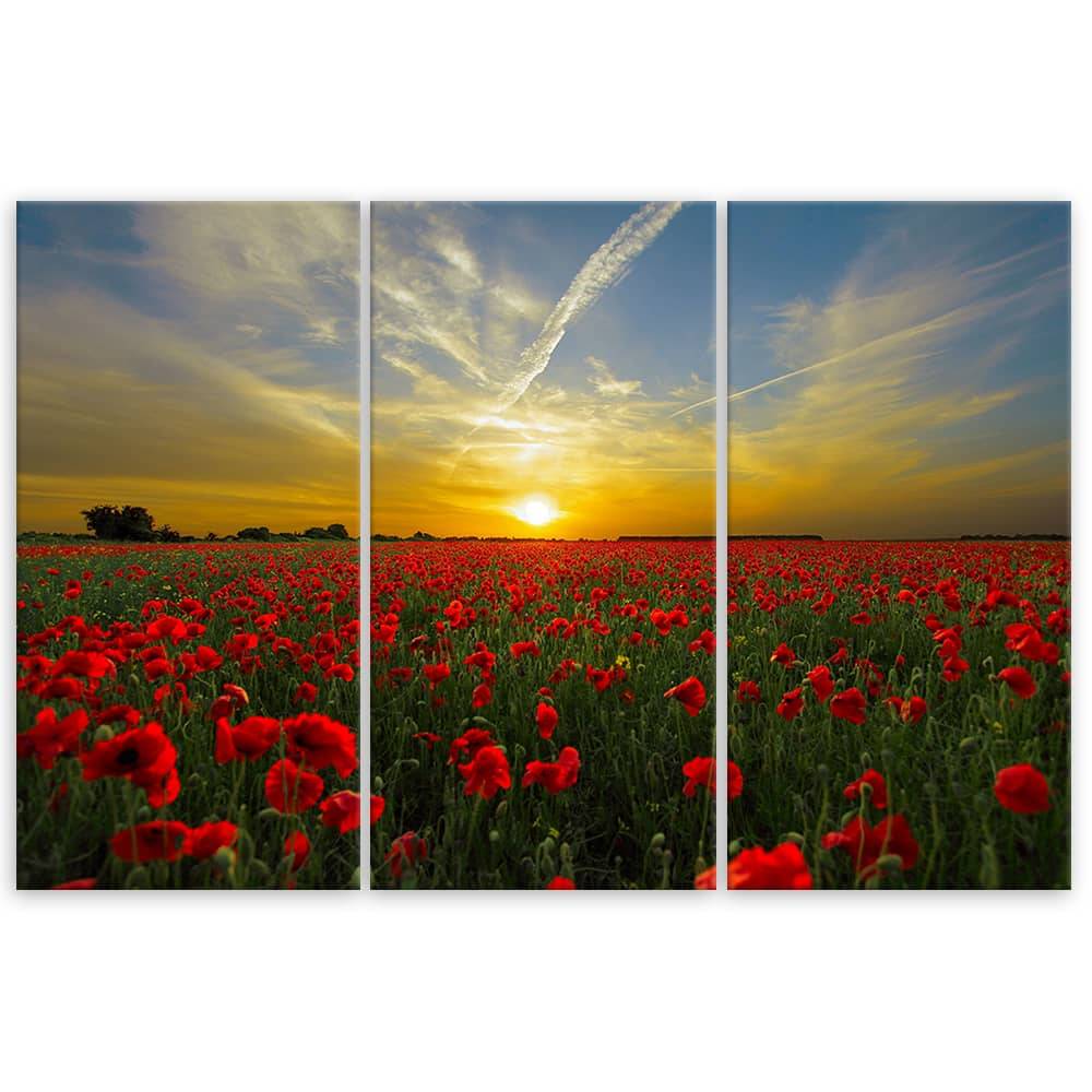 Kaeppel Leinwandbild 3-teilig, Mohnfeld im Sonnenuntergang Outlet