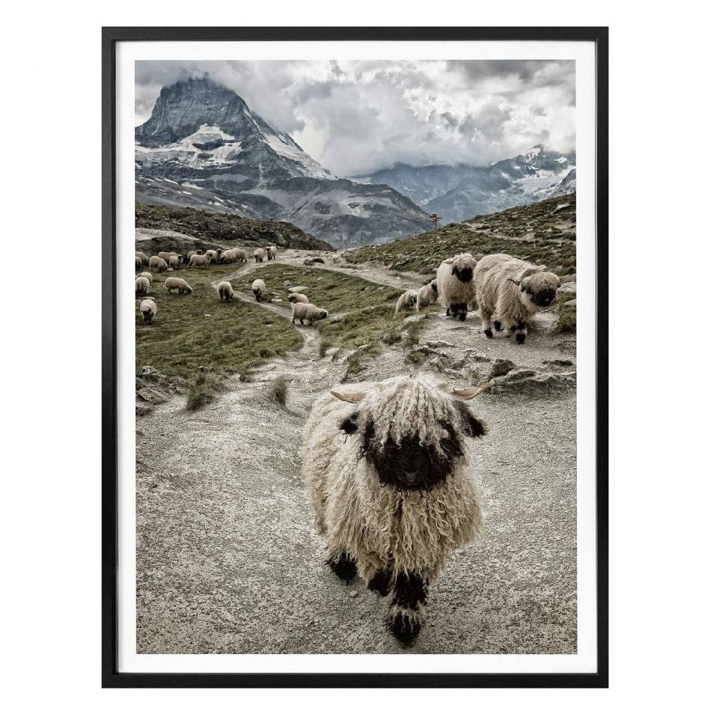 Kaeppel Poster Landolt - Ausflug in die Berge