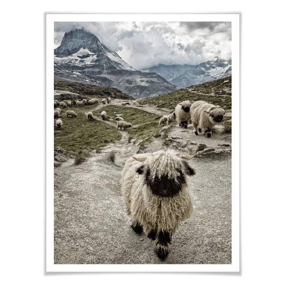 Kaeppel Poster Landolt - Ausflug in die Berge Fabrik Onlineshop