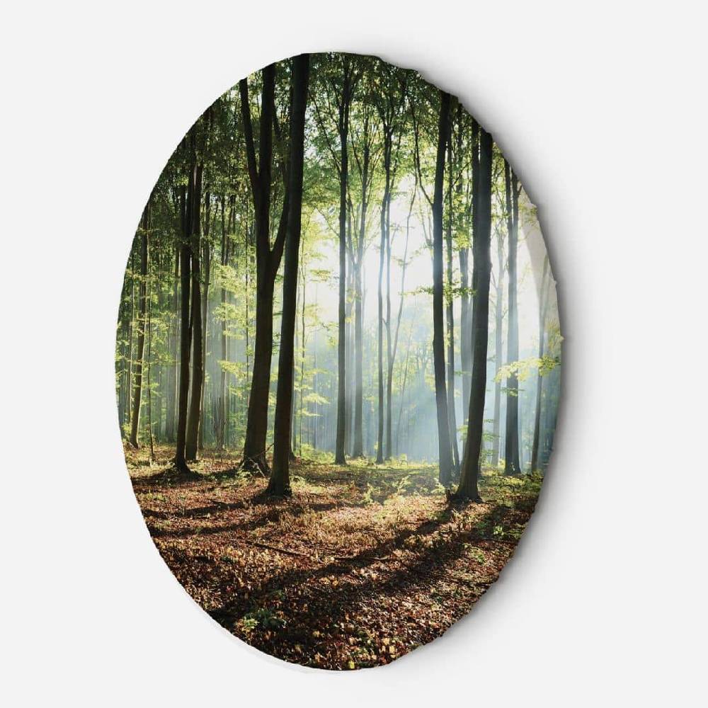 Kaeppel Rundes Leinwandbild Wald bei Sonnenaufgang