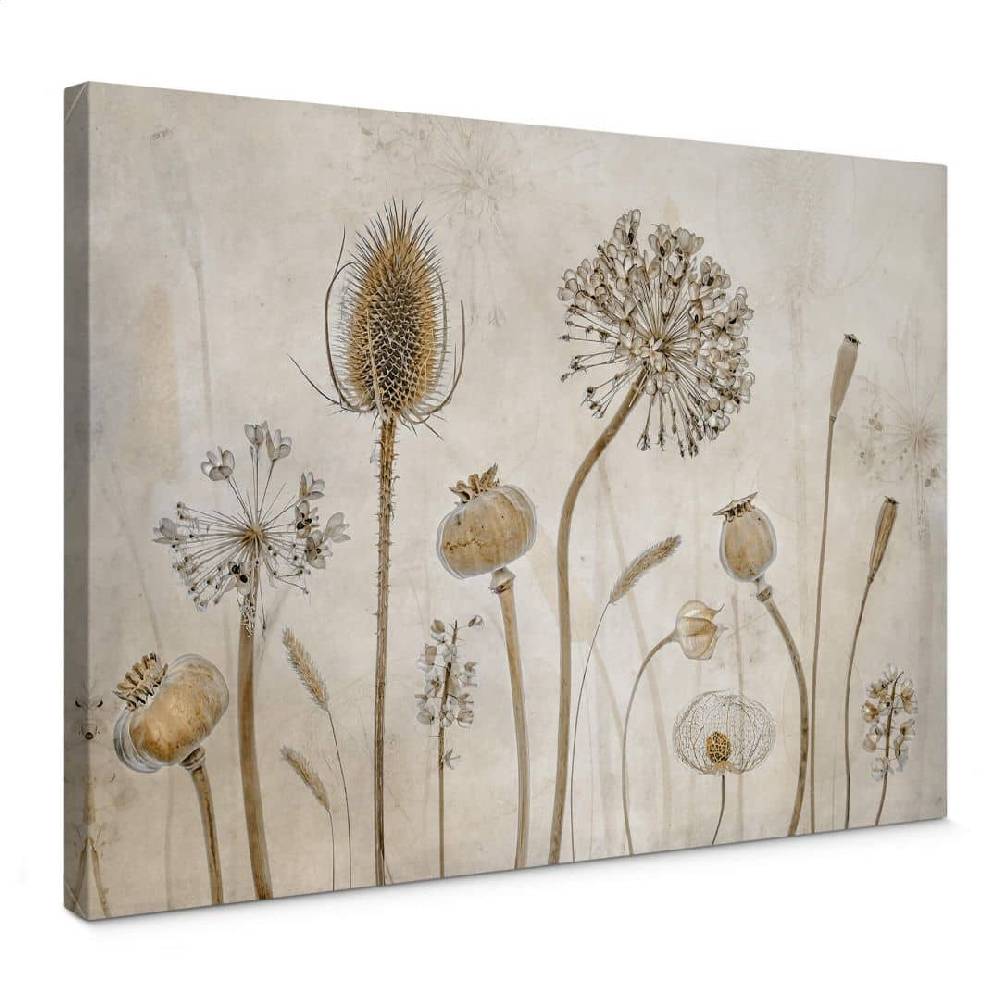Kaeppel Leinwandbild Disher - Trockenblumen