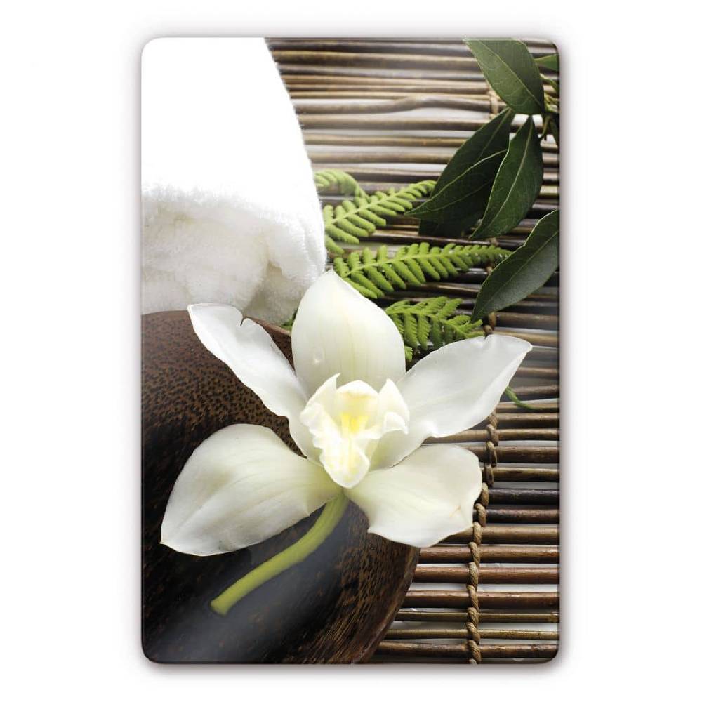 Kaeppel Glasbild Wellness Orchidee Online Outlet