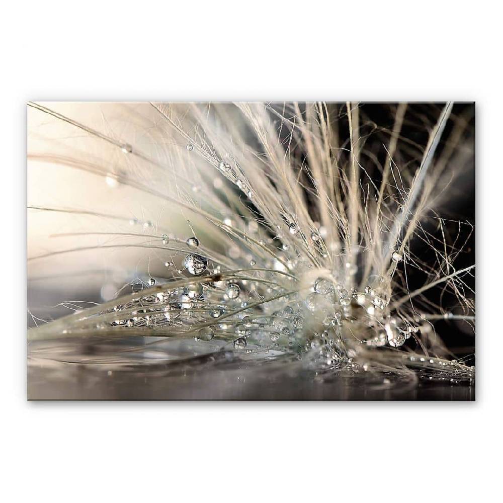 Kaeppel Acrylglasbild Zahirimehr - Story of a Waterdrop - Wassertropfen Bis zu 50% Rabatt
