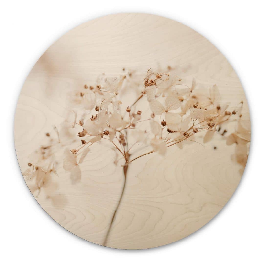 Kaeppel Holzbild 1X Studio - Zweig mit zarten Blüten - Rund Bis zu 60% Rabatt