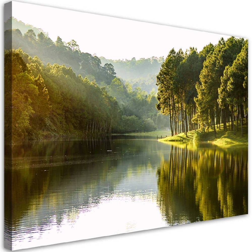 Kaeppel Leinwandbild, Landschaft Waldbaum Natur
